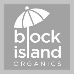 BLOCK ISLAND ORGANICS logo