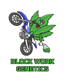 BLOCK WORK GENETICS logo