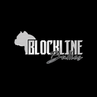 BLOCKLINE BULLIES logo