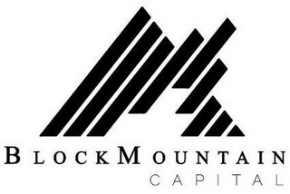 BLOCKMOUNTAIN CAPITAL logo