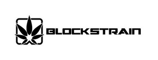 BLOCKSTRAIN logo