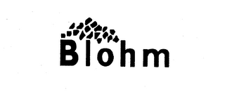 BLOHM logo