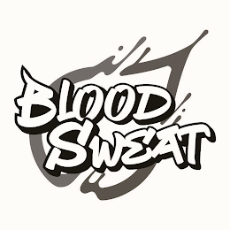 BLOOD SWEAT logo