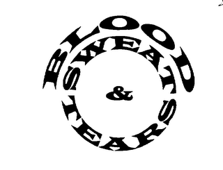 BLOOD SWEAT & TEARS logo