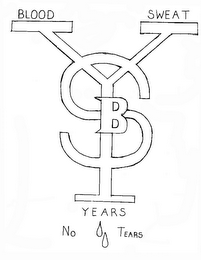 BLOOD SWEAT YEARS NO TEARS BSY logo