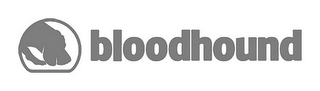 BLOODHOUND logo
