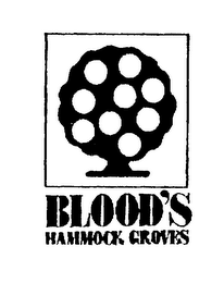 BLOOD'S HAMMOCK GROVES logo