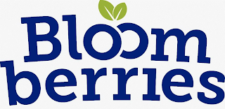 BLOOM BERRIES logo