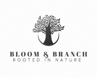 BLOOM & BRANCH ROOTED IN NATURE logo