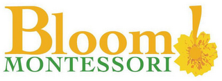 BLOOM MONTESSORI logo