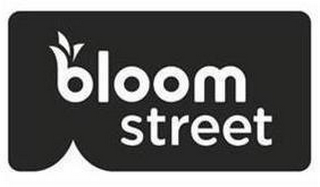BLOOM STREET logo
