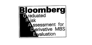 BLOOMBERG GRADUATED RISK ASSESSMENT FOR DERIVATIVE MBS EVALUATION logo