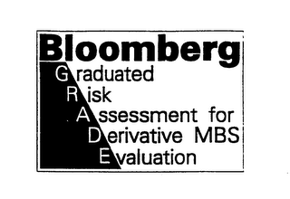 BLOOMBERG GRADUATED RISK ASSESSMENT FORDERIVATIVE MBS EVALUATION logo