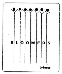 BLOOMERS logo
