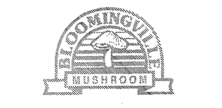 BLOOMINGVILLE MUSHROOM logo