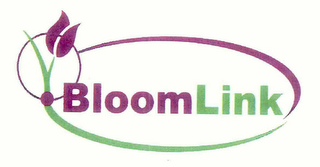 BLOOMLINK logo
