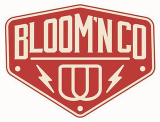 BLOOM'N CO logo