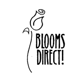 BLOOMS DIRECT! logo