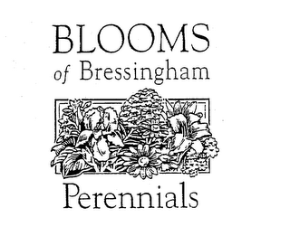 BLOOMS OF BRESSINGHAM PERENNIALS logo