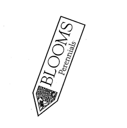 BLOOMS PERENNIALS logo