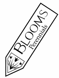 BLOOMS PERENNIALS logo