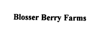 BLOSSER BERRY FARMS logo