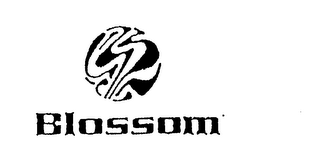 BLOSSOM logo