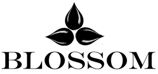 BLOSSOM logo