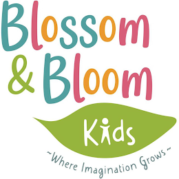 BLOSSOM & BLOOM KIDS ~ WHERE IMAGINATION GROWS ~ logo