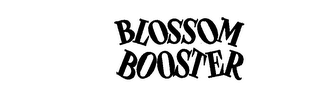 BLOSSOM BOOSTER logo