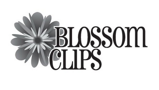 BLOSSOM CLIPS logo