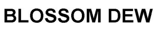 BLOSSOM DEW logo