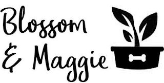 BLOSSOM & MAGGIE logo