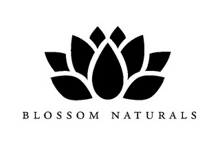 BLOSSOM NATURALS logo