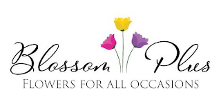 BLOSSOM PLUS FLOWERS FOR ALL OCCASIONS logo