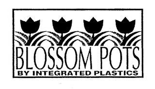 BLOSSOM POTS BY INTEGRATED PLASTICS logo