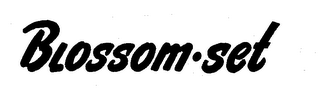 BLOSSOM-SET logo