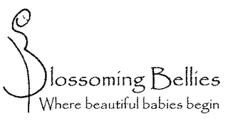 BLOSSOMING BELLIES WHERE BEAUTIFUL BABIES BEGIN logo