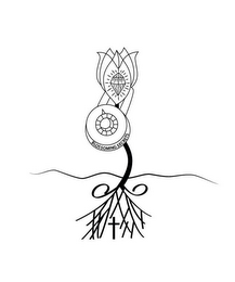 BLOSSOMING SECRETS logo