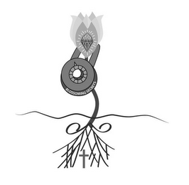 BLOSSOMING SECRETS logo