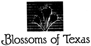 BLOSSOMS OF TEXAS logo