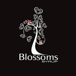 BLOSSOMS SYRUP logo