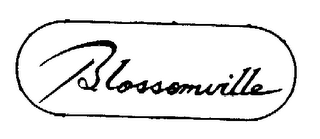 BLOSSOMVILLE logo