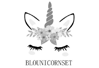 BLOUNICORNSET logo