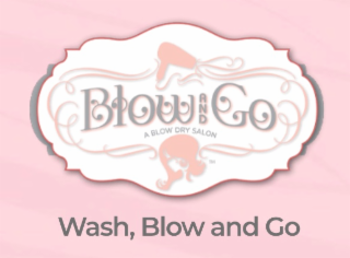 BLOW AND GO A BLOW DRY SALON WASH, BLOW AND GO logo