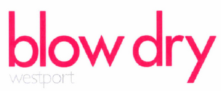 BLOW DRY WESTPORT logo