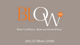 BLOWCO logo