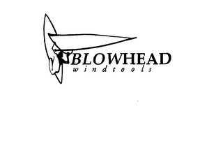 BLOWHEAD WINDTOOLS logo
