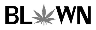 BLOWN logo