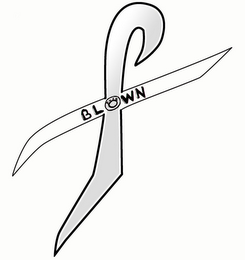 BLOWN FUSE logo